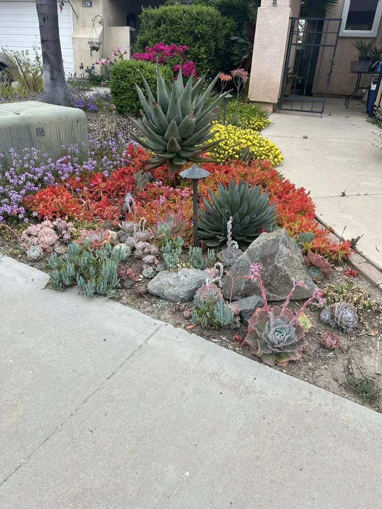 Top-rated lawn mowing service in Torrance, CA - San Agustin Landscape