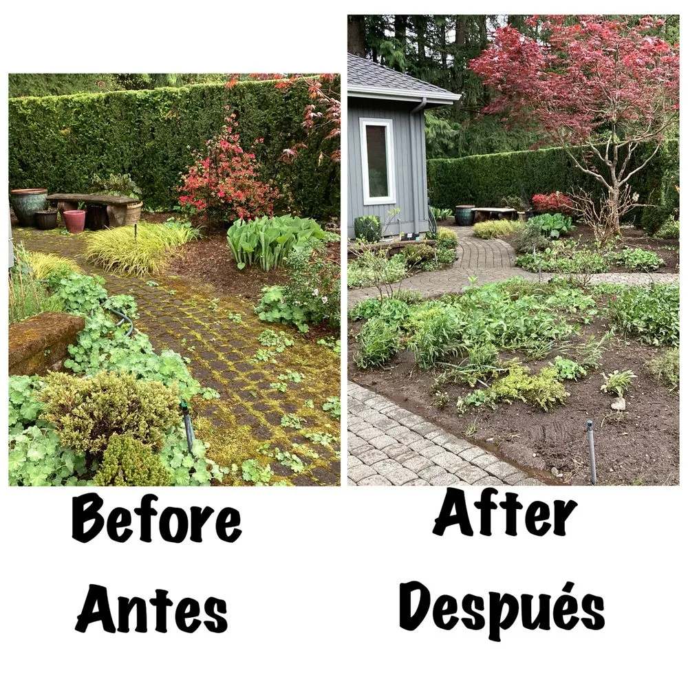 Reliable garden landscaping in Everett, WA - San Andres Apostol Handyman