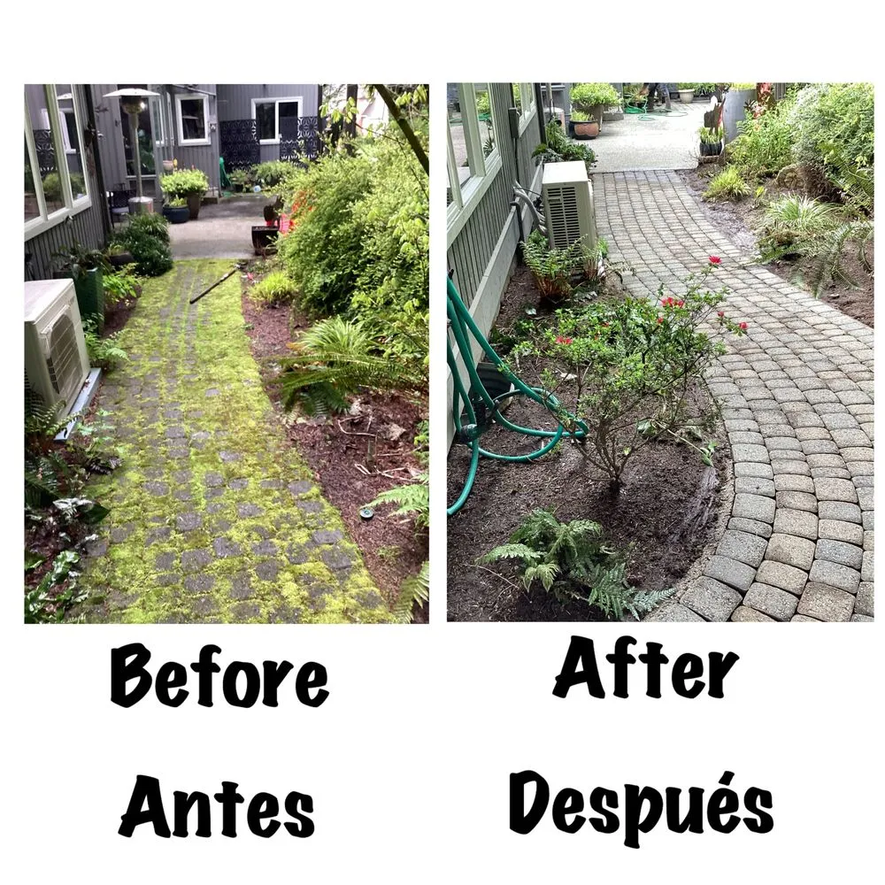 Reliable yard maintenance in Everett, WA by San Andres Apostol Handyman