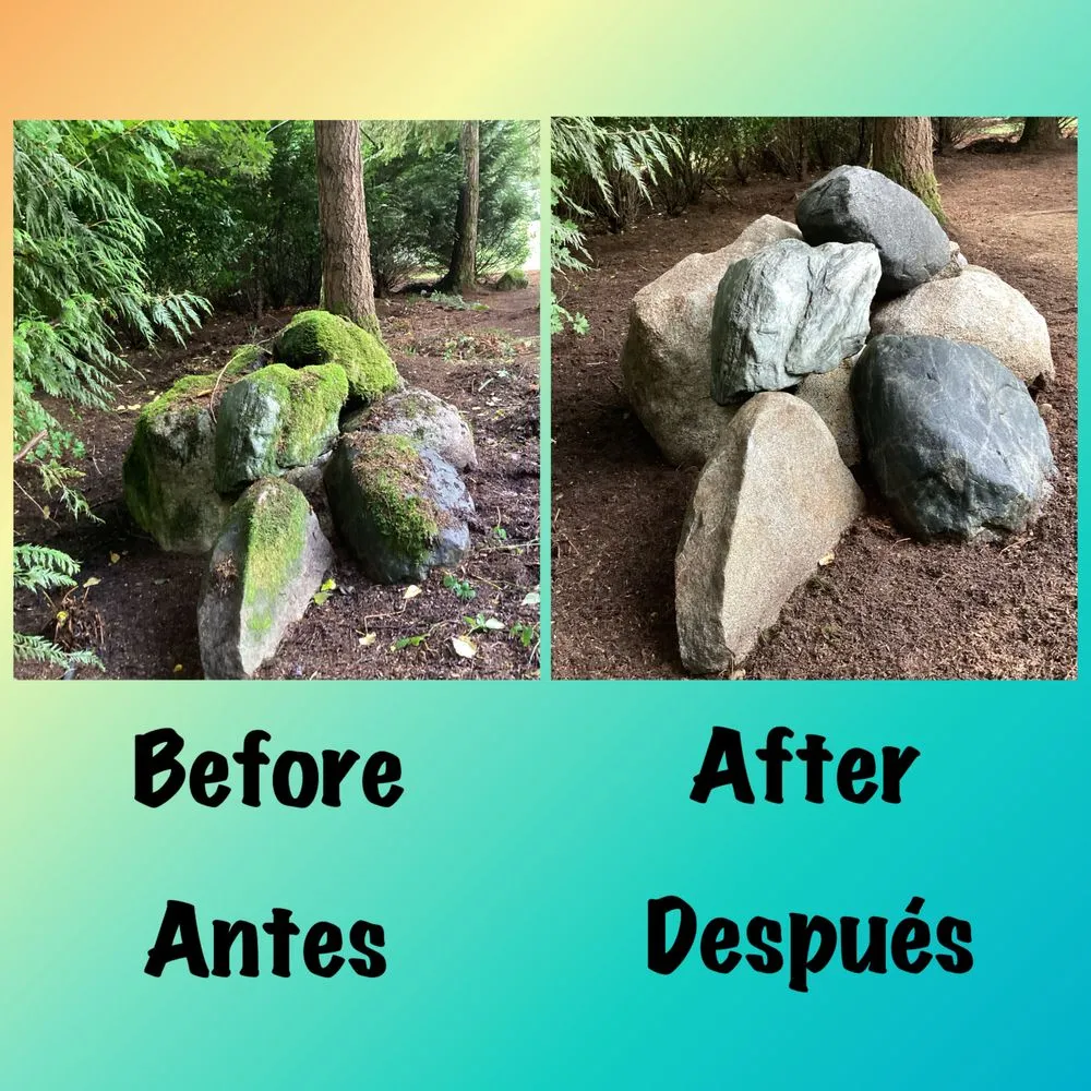 Professional lawn care service in Everett, WA - San Andres Apostol Handyman