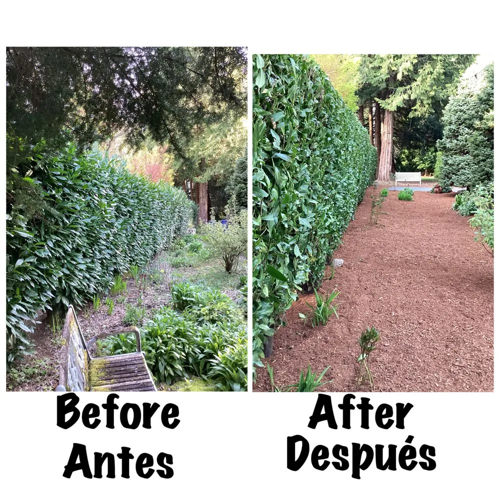 Local landscape design near you across Everett, WA - San Andres Apostol Handyman