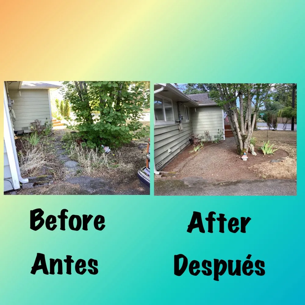 Professional landscape installation experts serving Everett, WA - San Andres Apostol Handyman