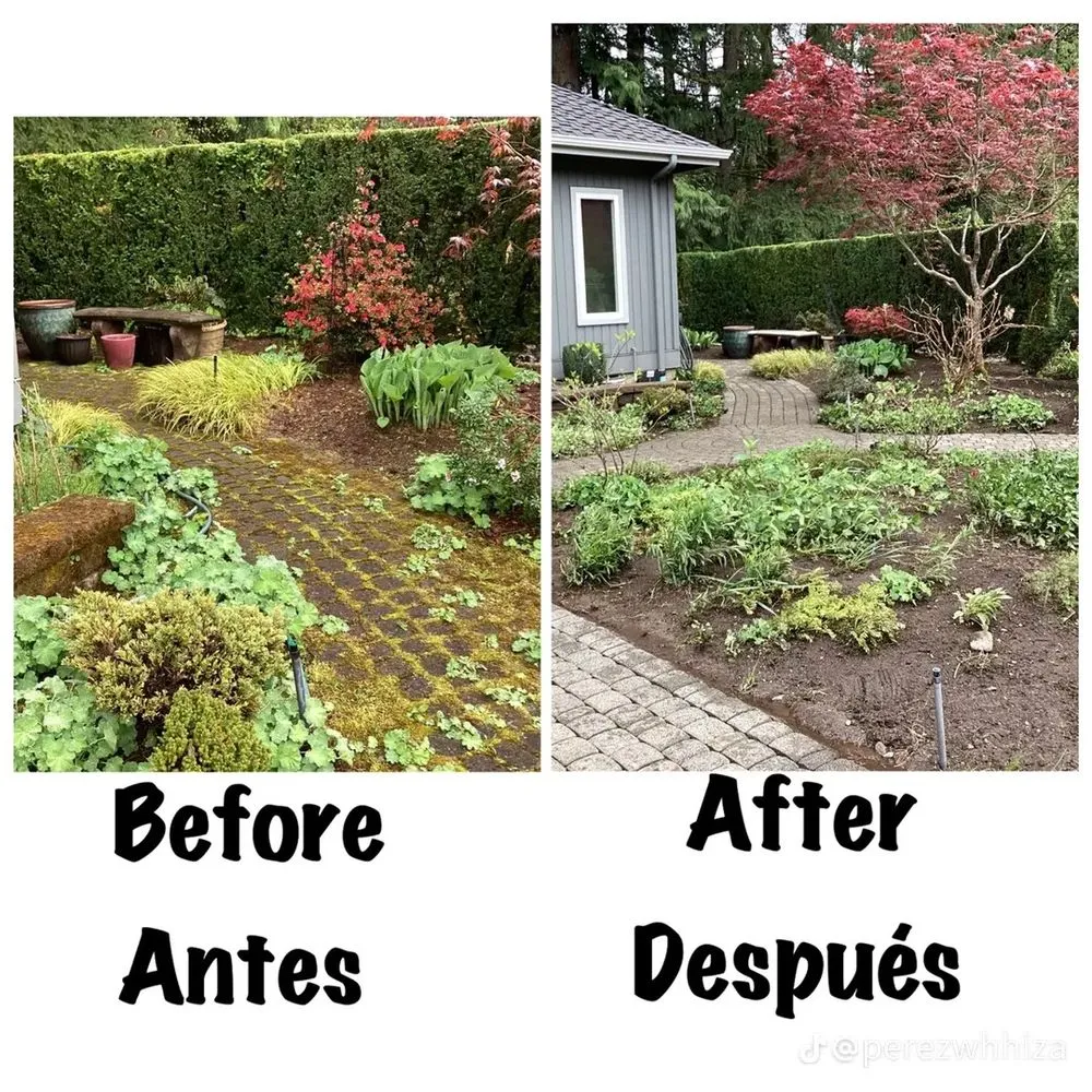 Reliable yard maintenance for outdoor upgrades across Everett, WA - San Andres Apostol Handyman