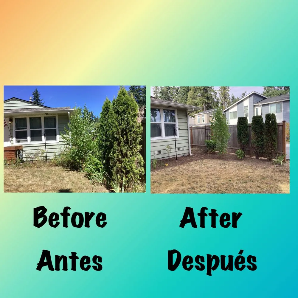 Custom yard maintenance in Everett, WA - San Andres Apostol Handyman
