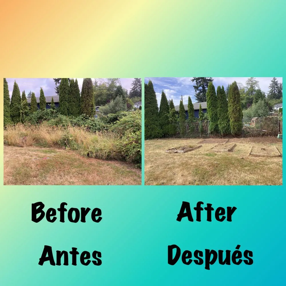 Top-rated lawn care service near you across Everett, WA - San Andres Apostol Handyman