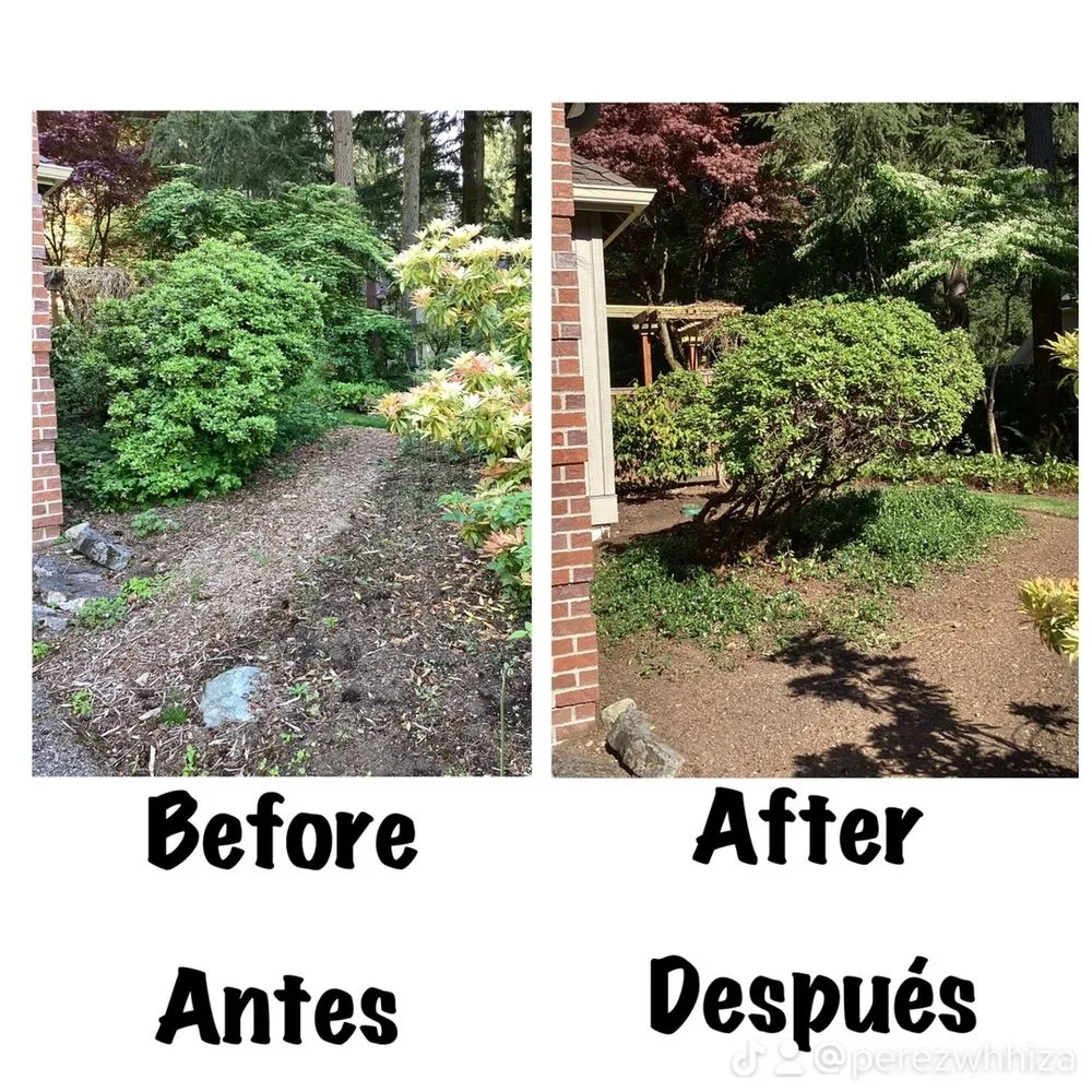 Custom lawn care service experts serving Everett, WA - San Andres Apostol Handyman