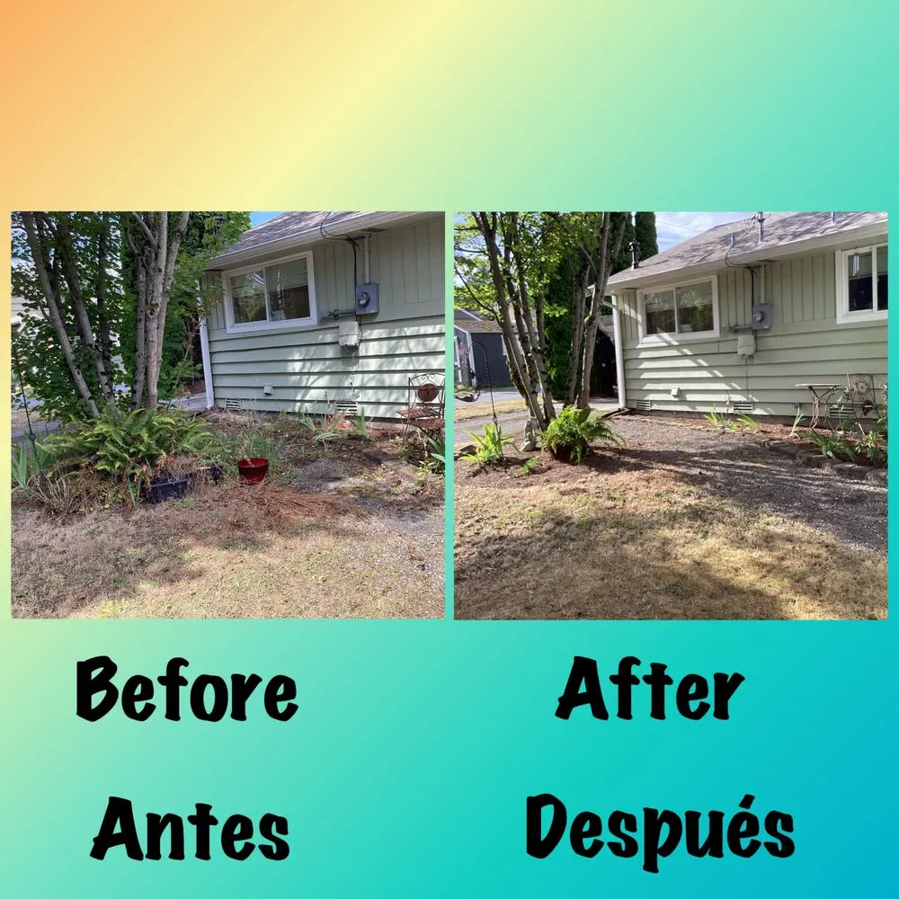 Custom yard cleanup service experts serving Everett, WA - San Andres Apostol Handyman