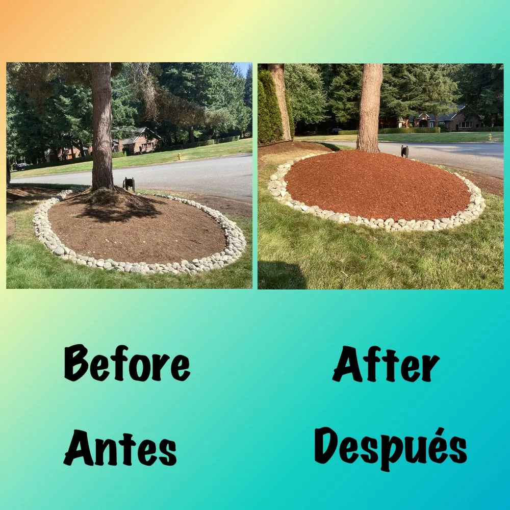Expert landscape installation in Everett, WA - San Andres Apostol Handyman