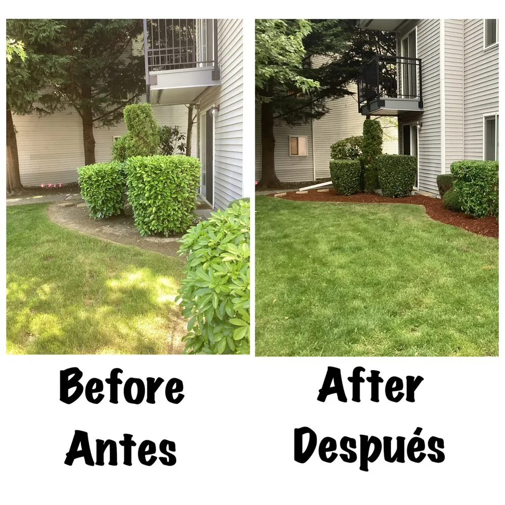 Local yard cleanup service for year-round maintenance across Everett, WA - San Andres Apostol Handyman
