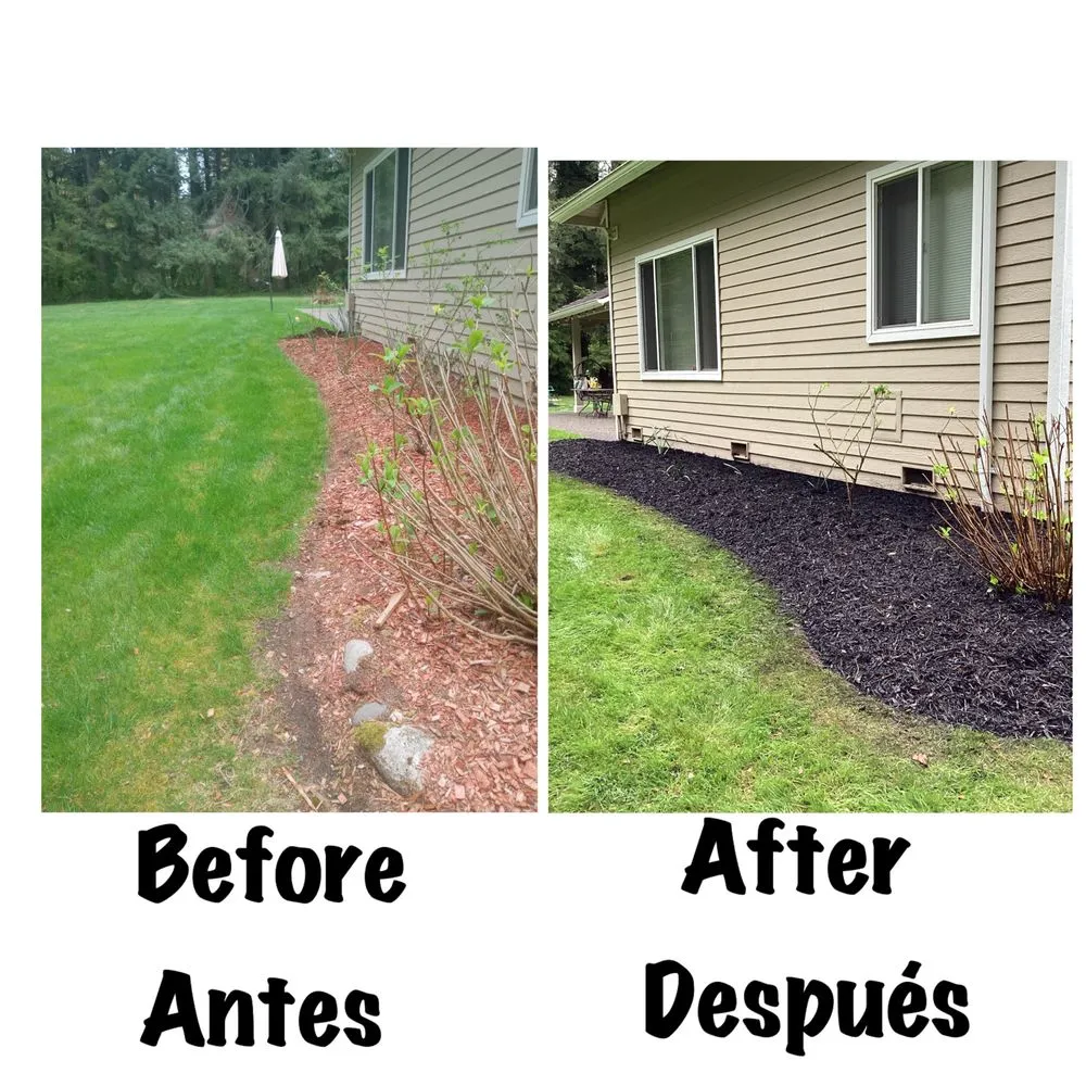 Reliable yard maintenance experts serving Everett, WA - San Andres Apostol Handyman