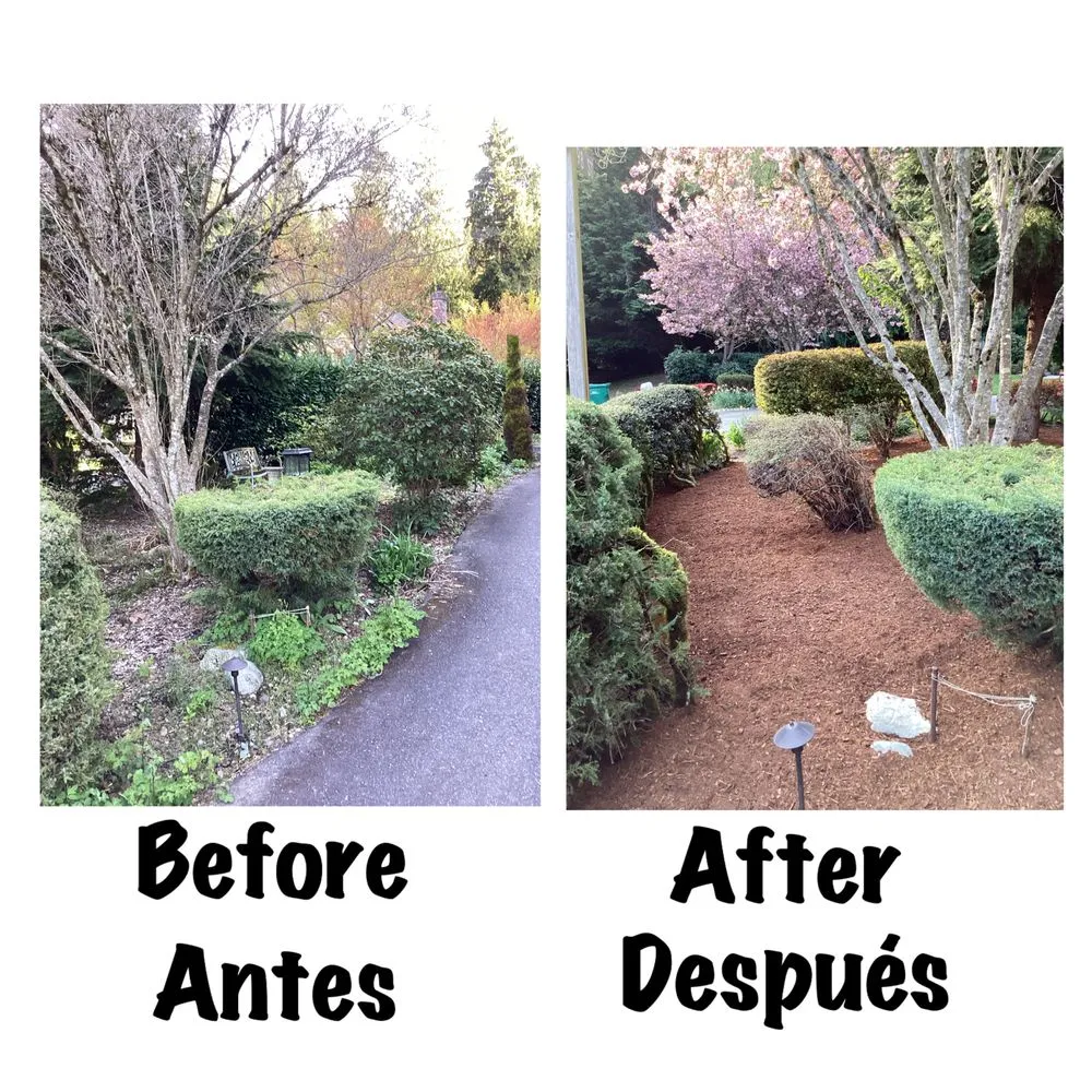 Custom lawn care service in Everett, WA by San Andres Apostol Handyman