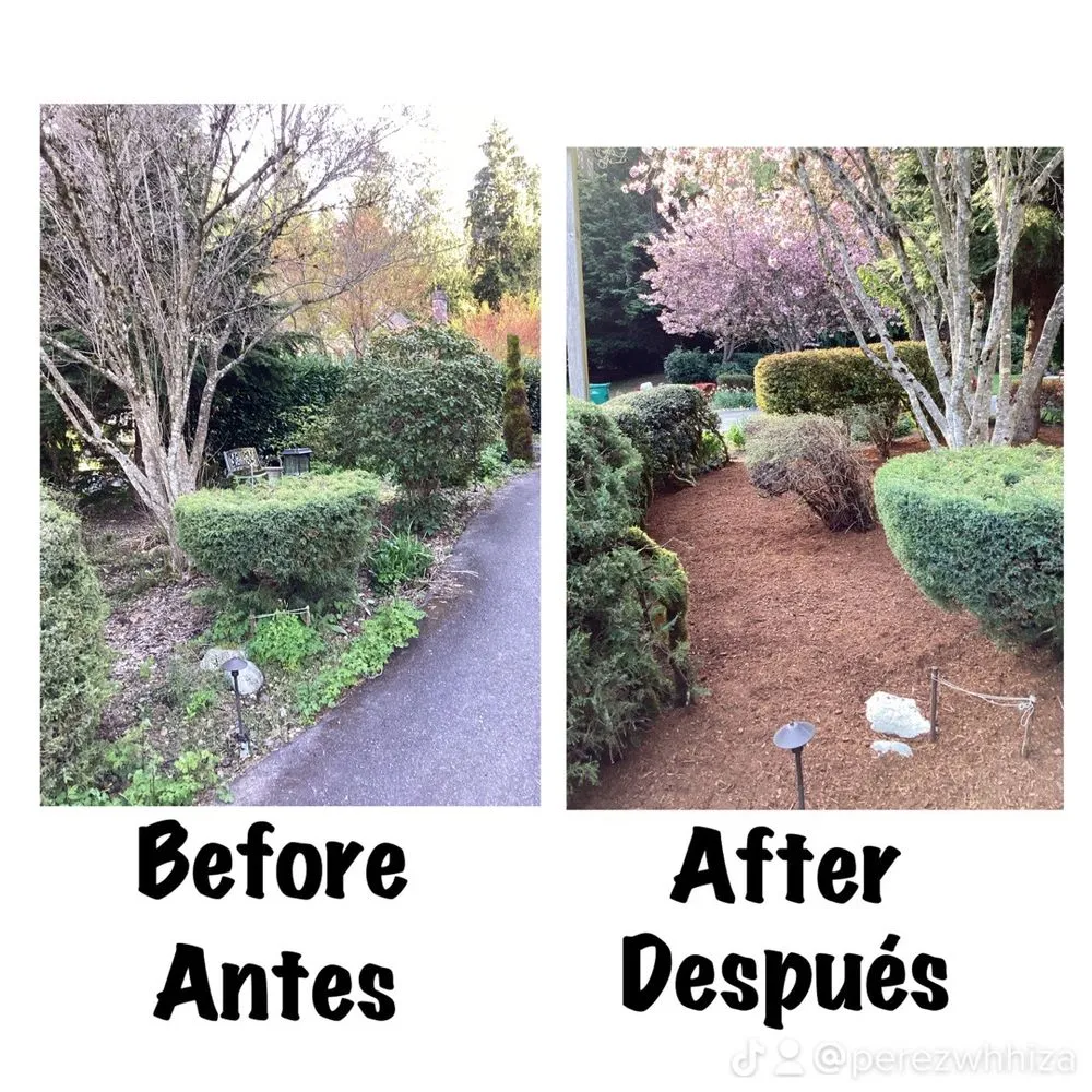 Local garden landscaping in Everett, WA by San Andres Apostol Handyman