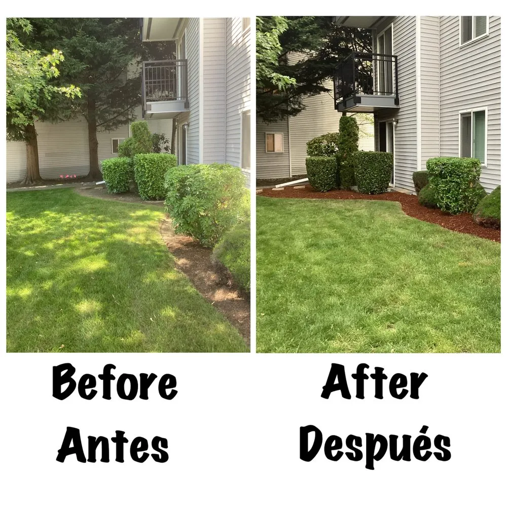 Reliable outdoor landscaping experts serving Everett, WA - San Andres Apostol Handyman