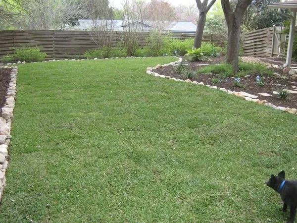 Professional landscape design in Selma, TX - San Antonio Landscaping & Design