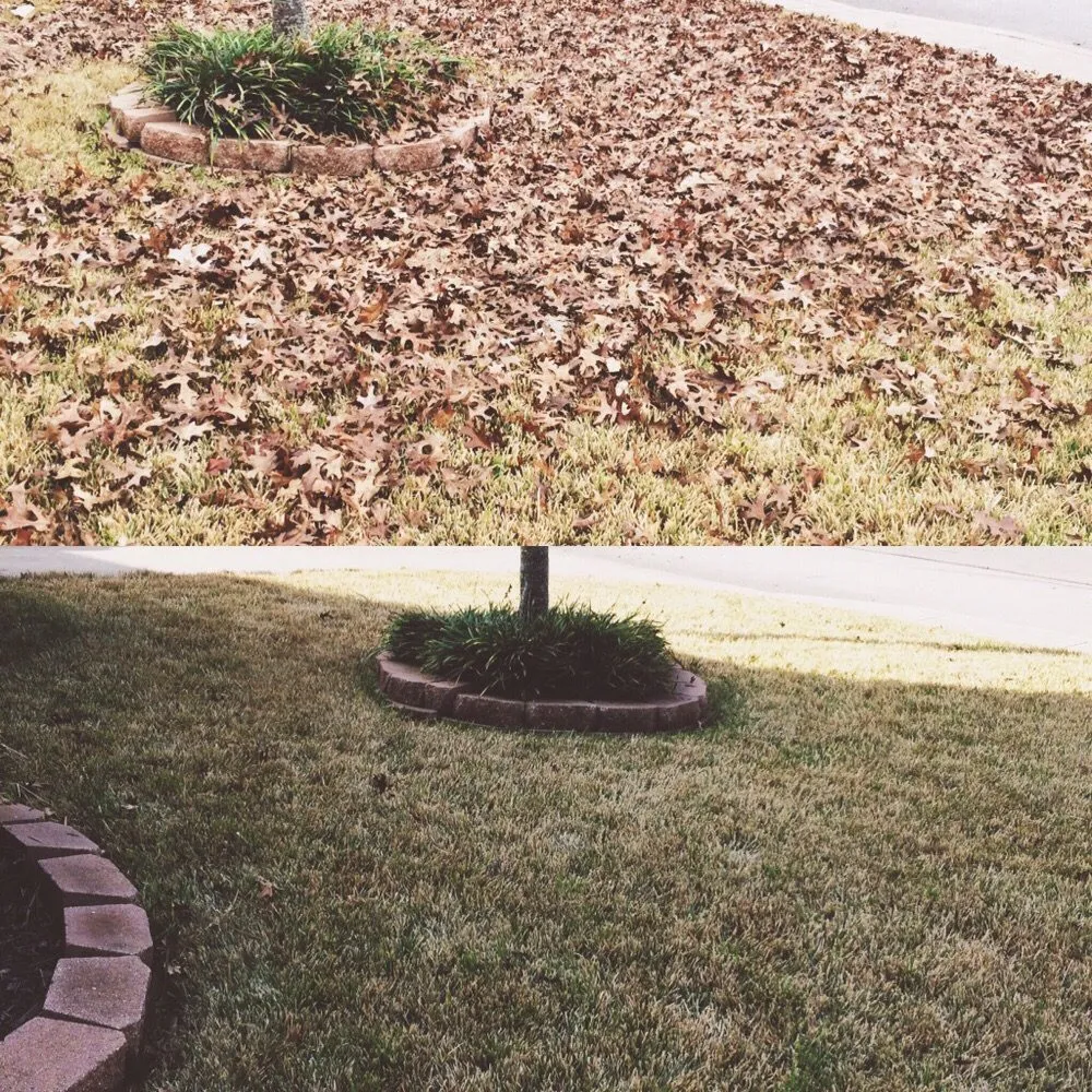 Custom yard cleanup service with custom design across San Antonio, TX - San Antonio Lawn Mowing