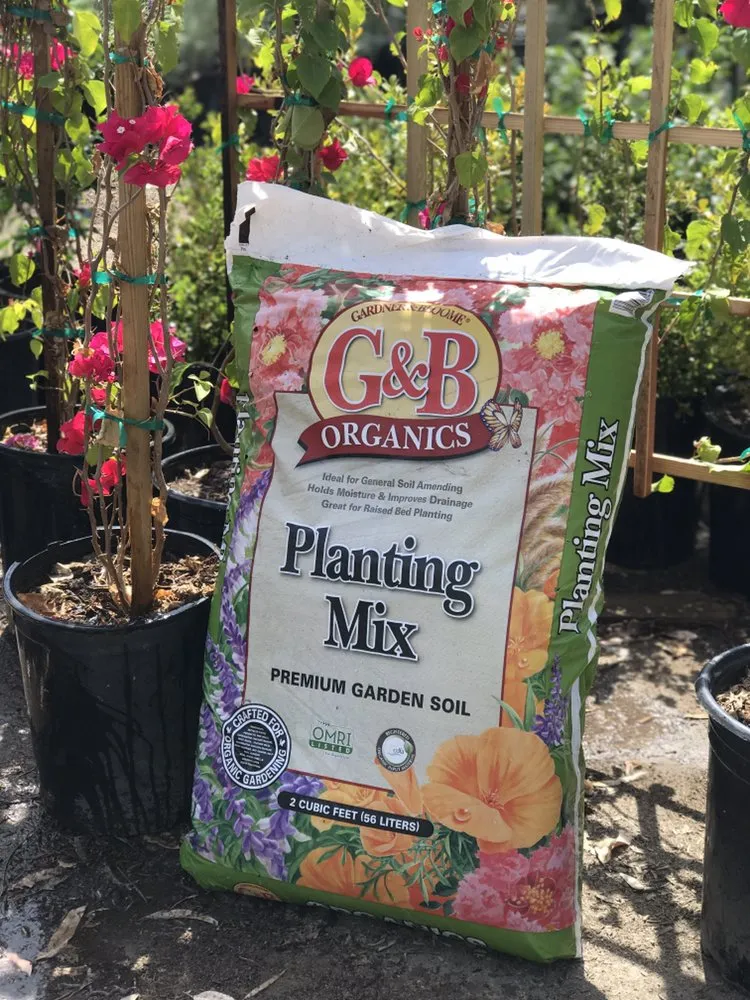 Trusted yard maintenance in Bakersfield, CA - San Antonio Nursery