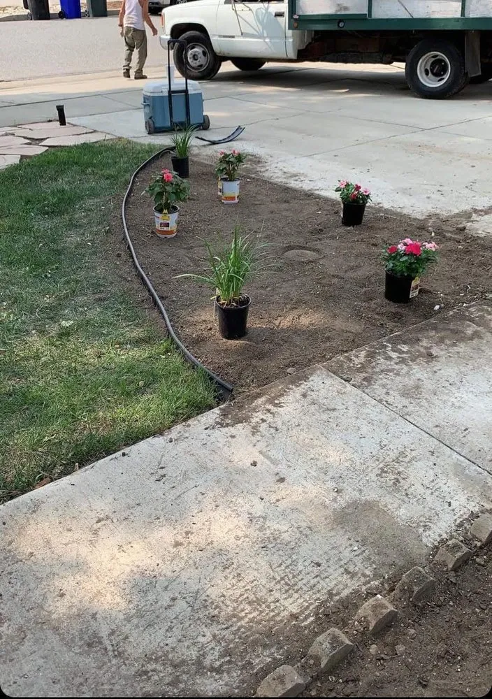 Reliable yard maintenance in San Bernardino, CA by San Bernardino Tree Services