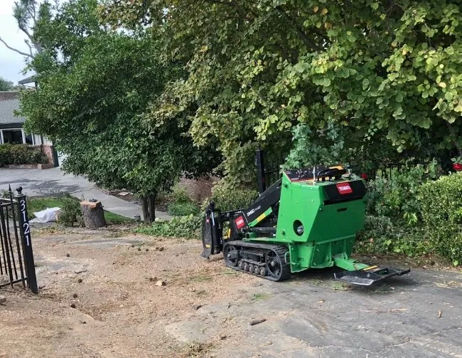 Top-rated lawn care service for homes in San Bernardino, CA by San Bernardino Tree Services