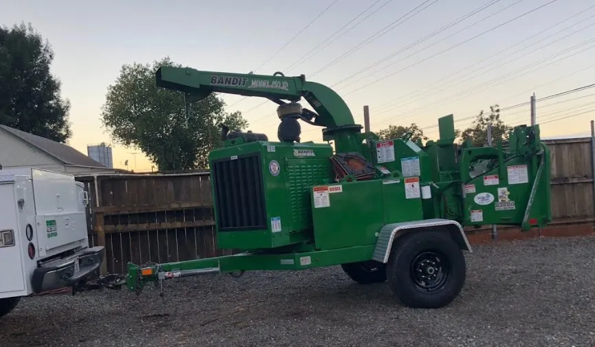 Top-rated yard cleanup service in San Bernardino, CA by San Bernardino Tree Services