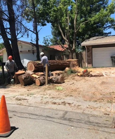 Custom outdoor landscaping in San Bernardino, CA - San Bernardino Tree Services