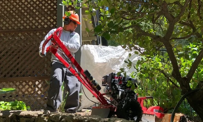 Reliable outdoor landscaping for residential properties across San Bernardino, CA - San Bernardino Tree Services