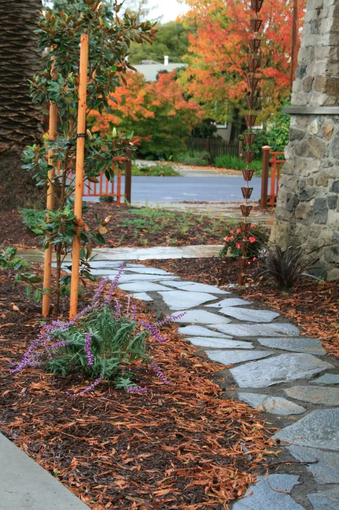 Trusted yard cleanup service in San Carlos, CA - San Carlos GardenWorks