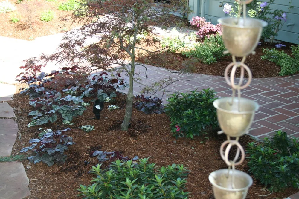 Expert outdoor landscaping for beautiful yards in San Carlos, CA by San Carlos GardenWorks