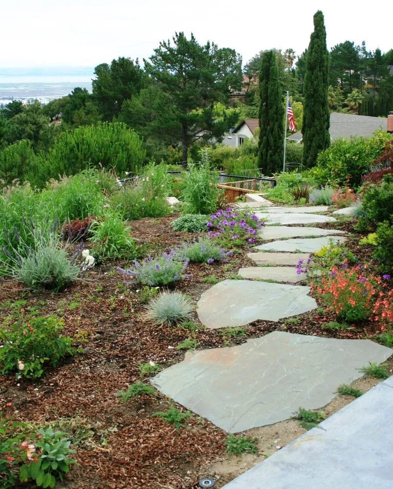 Professional lawn mowing service for residential properties in San Carlos, CA by San Carlos GardenWorks