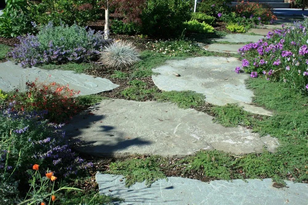 Trusted outdoor landscaping near you in San Carlos, CA by San Carlos GardenWorks