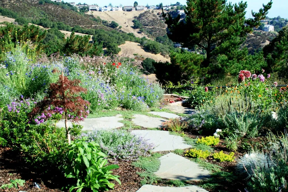 Professional outdoor landscaping for year-round maintenance across San Carlos, CA - San Carlos GardenWorks