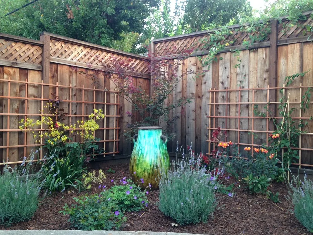 Reliable yard cleanup service for homes in San Carlos, CA by San Carlos GardenWorks