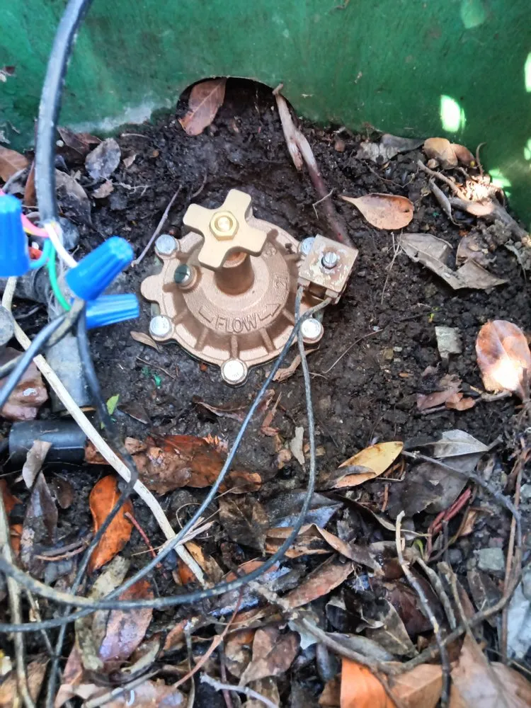 Expert yard cleanup service experts serving San Clemente, CA - San Clemente Irrigation Repair and Landscape Lighting