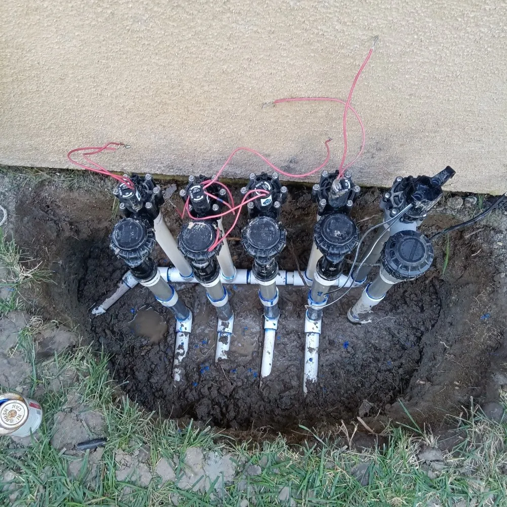 Professional lawn care service in San Clemente, CA by San Clemente Irrigation Repair and Landscape Lighting