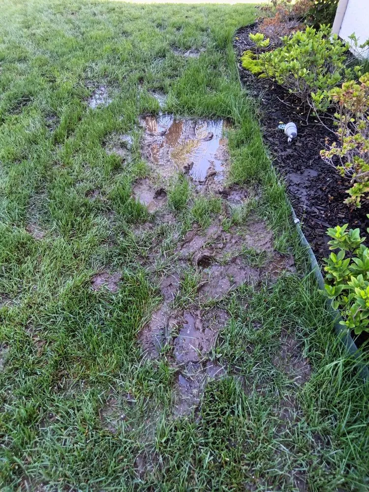 Affordable outdoor landscaping experts serving San Clemente, CA - San Clemente Irrigation Repair and Landscape Lighting