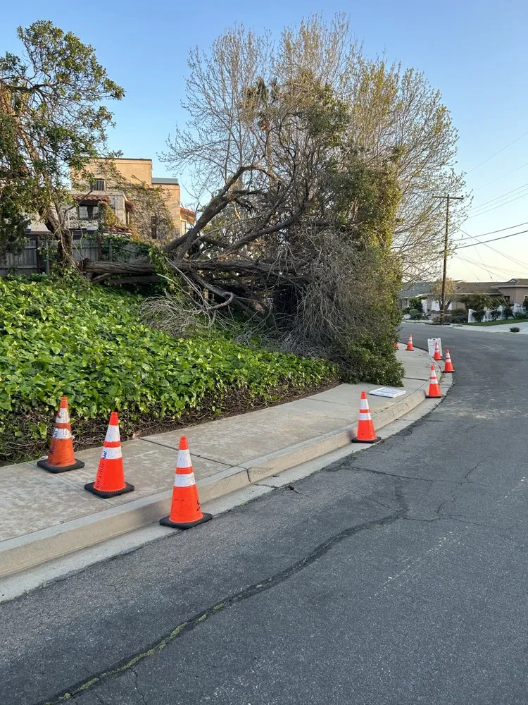 Professional landscaping services for homes across San Diego, CA - San Diego Arbor Aid