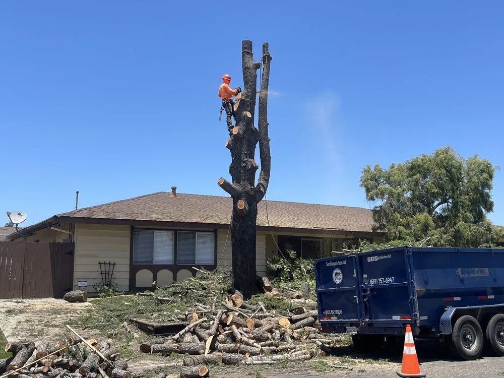 Local landscape installation near you in San Diego, CA by San Diego Arbor Aid