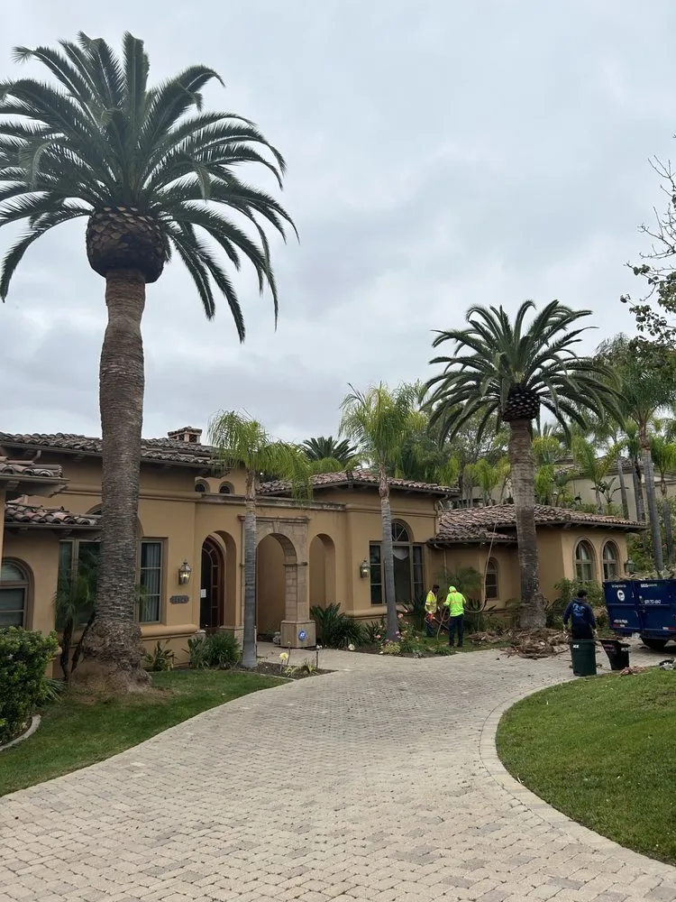 Top-rated outdoor landscaping in San Diego, CA by San Diego Arbor Aid