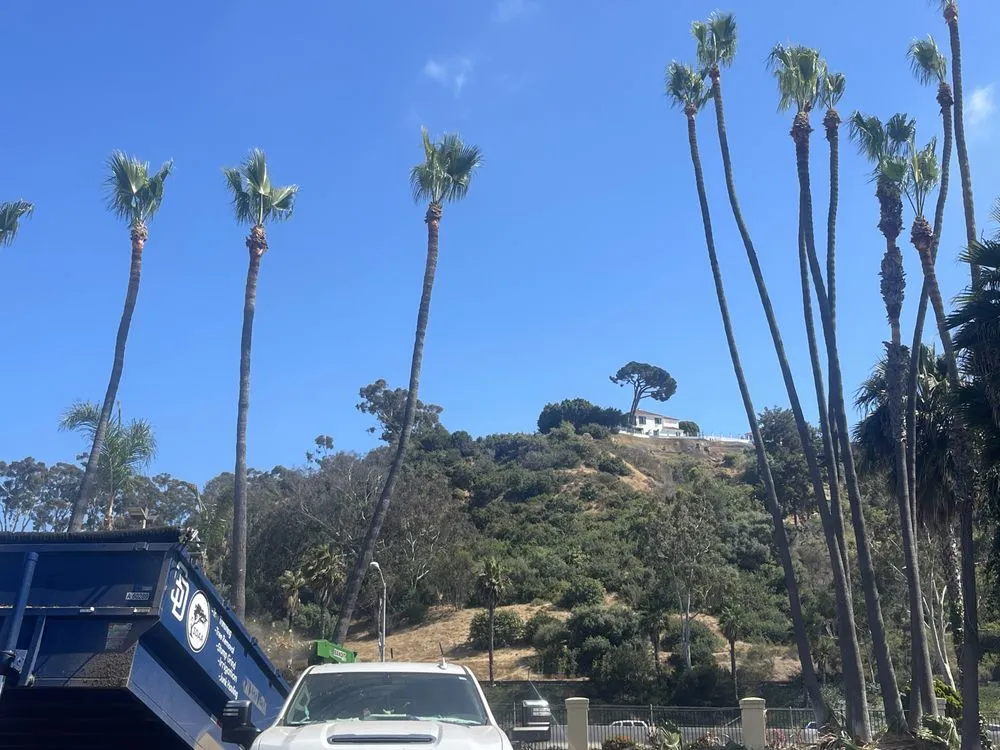 Top-rated landscaping services with custom design in San Diego, CA by San Diego Arbor Aid