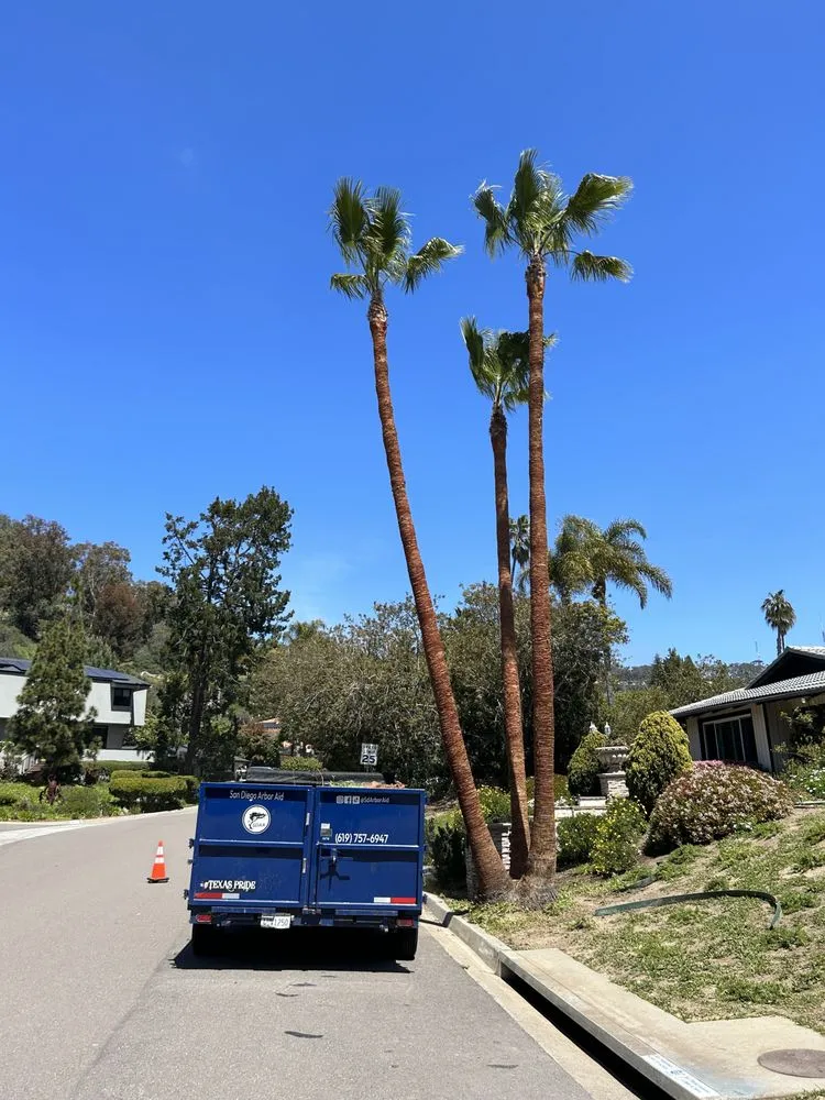 Reliable residential landscaping experts serving San Diego, CA - San Diego Arbor Aid