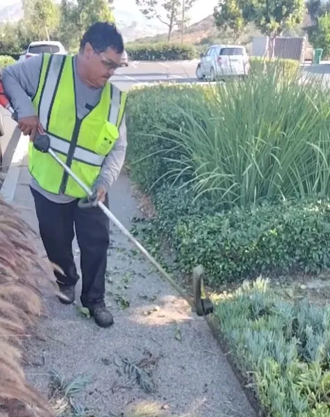 Affordable lawn care service for beautiful yards in San Diego, CA by San Diego Building Services
