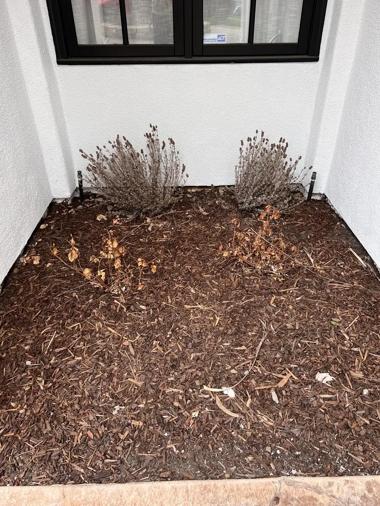 Affordable landscape installation for homes across San Diego, CA - San Diego Exterior Designs