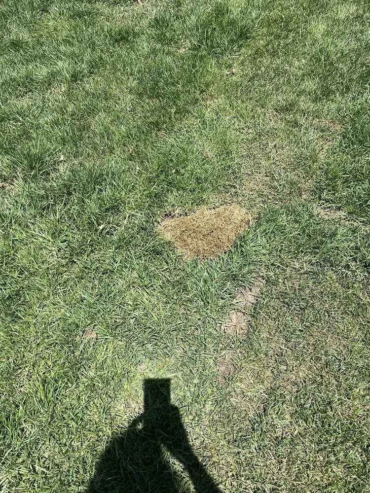 Reliable landscape design experts serving San Diego, CA - San Diego Exterior Designs