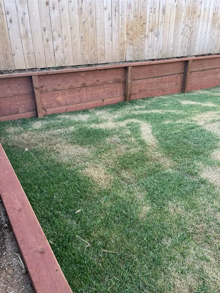 Top-rated lawn care service in San Diego, CA by San Diego Exterior Designs