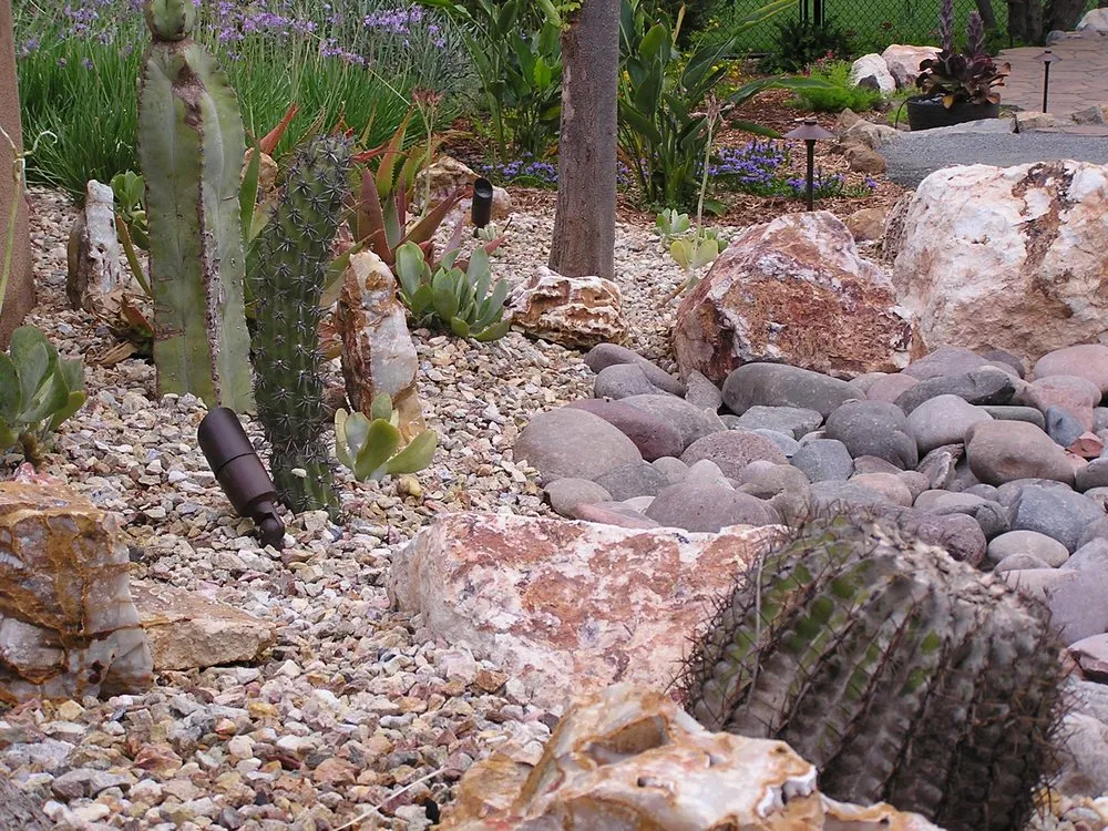 Reliable landscape design in Escondido, CA by San Diego Landcare Systems