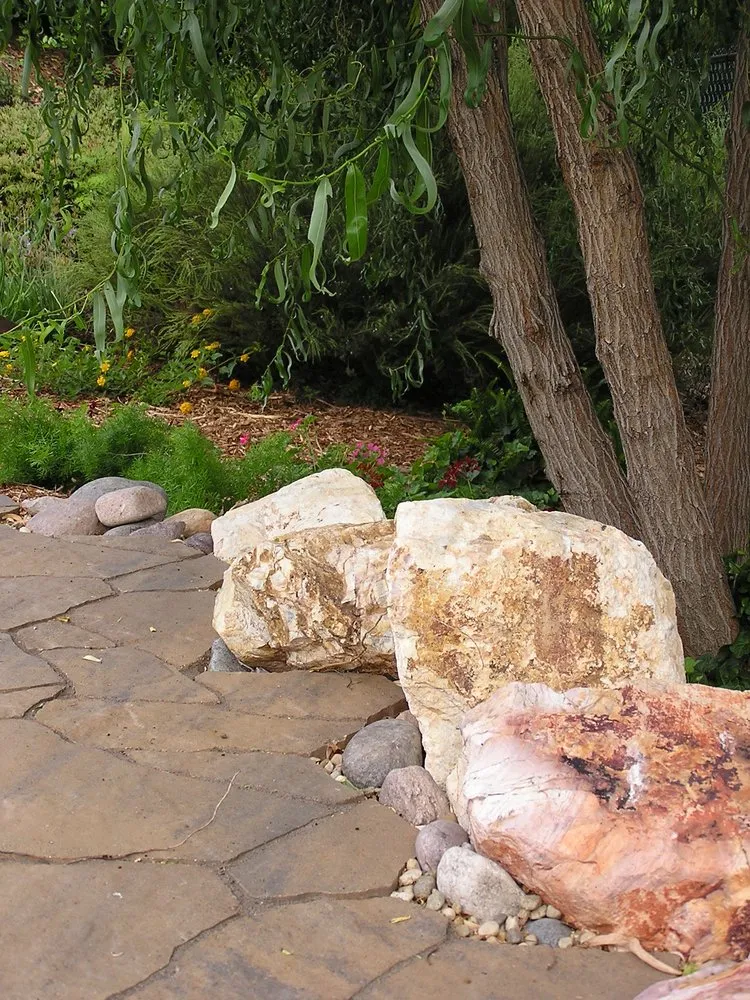 Top-rated yard cleanup service for year-round maintenance in Escondido, CA by San Diego Landcare Systems