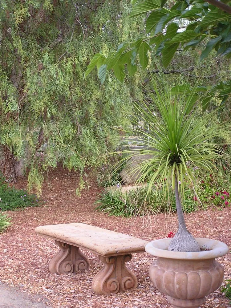 Affordable lawn care service in Escondido, CA - San Diego Landcare Systems