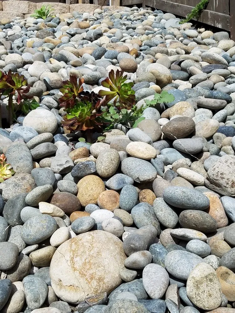 Reliable garden landscaping with custom design in Coronado, CA by San Diego Landscape Solutions