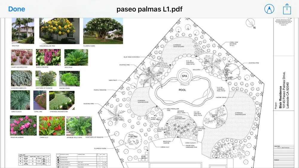 Custom outdoor landscaping near you across Coronado, CA - San Diego Landscape Solutions