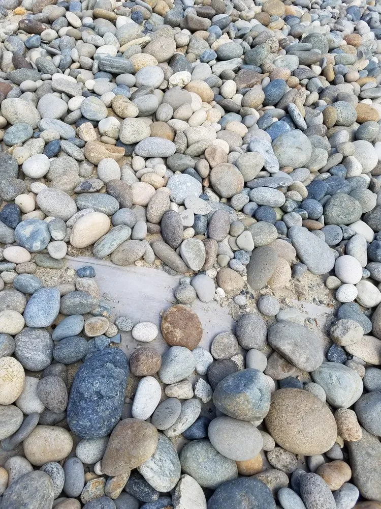 Top-rated yard maintenance in Coronado, CA - San Diego Landscape Solutions