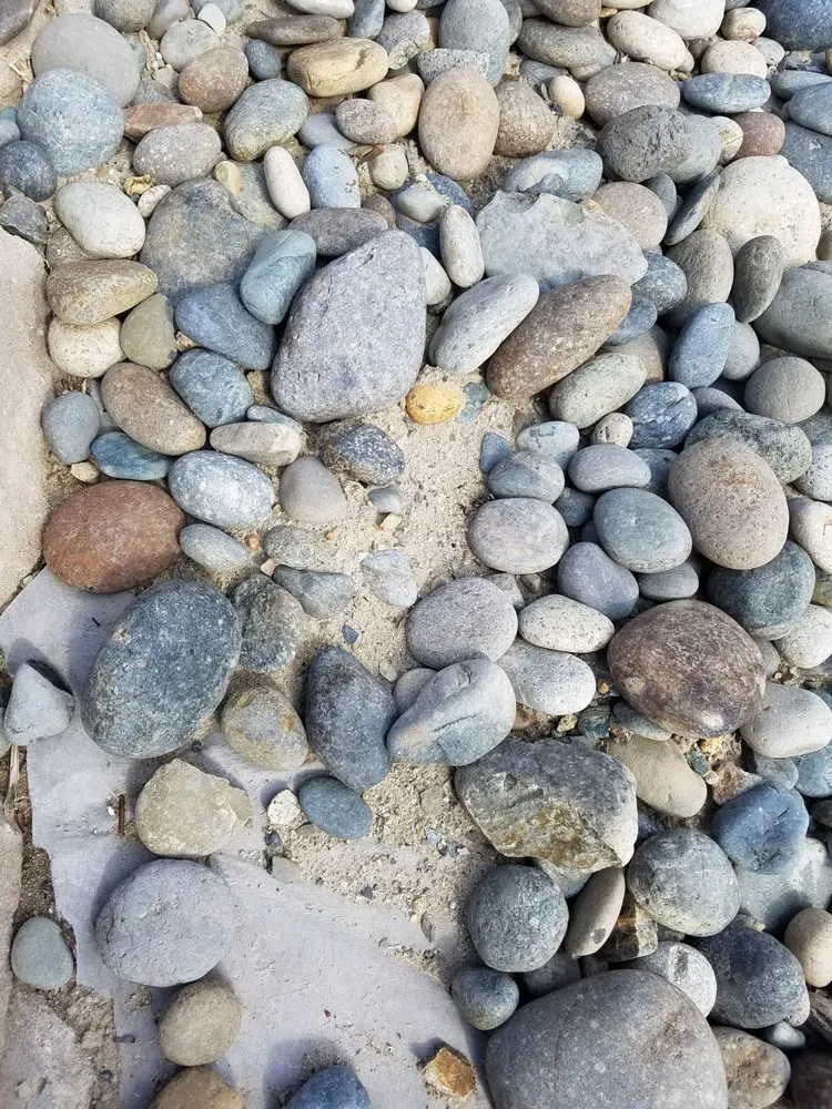 Reliable yard cleanup service for homes across Coronado, CA - San Diego Landscape Solutions